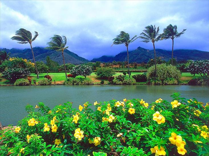 HAWAJE - Maui Tropical Plantation, Hawaii.jpg