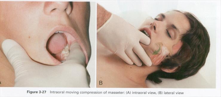 Anatomia masażu - 3-27.JPG