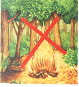 zasady w lesie - nie palic ognisk.bmp