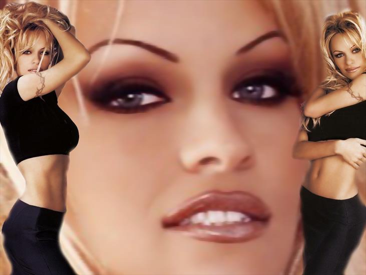 pamela anderson - Pamela Anderson 107.jpg