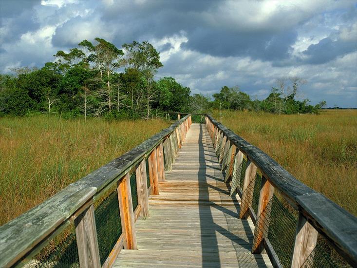 Krajobrazy - Mahogany Hammock Trail Boardwalk, Everglades National Park, Florida.jpg