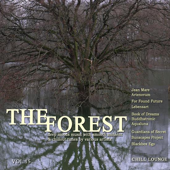 V. A. - The Forest Vol. 15 Deep Moods Music With Smooth Ambient  Chillout Tunes, 2019 - cover.jpg
