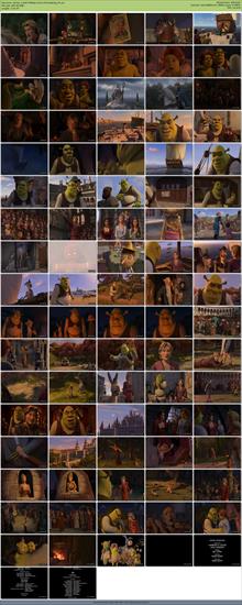 Shrek_3-2007-BRRip-XviD-LTN-Dubbing_PL - Shrek_3-2007-BRRip-XviD-LTN-Dubbing_PL_thumbnail.jpg
