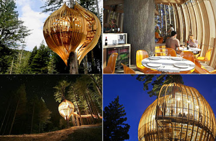 z2 - Yellow Treehouse Restaurant.png